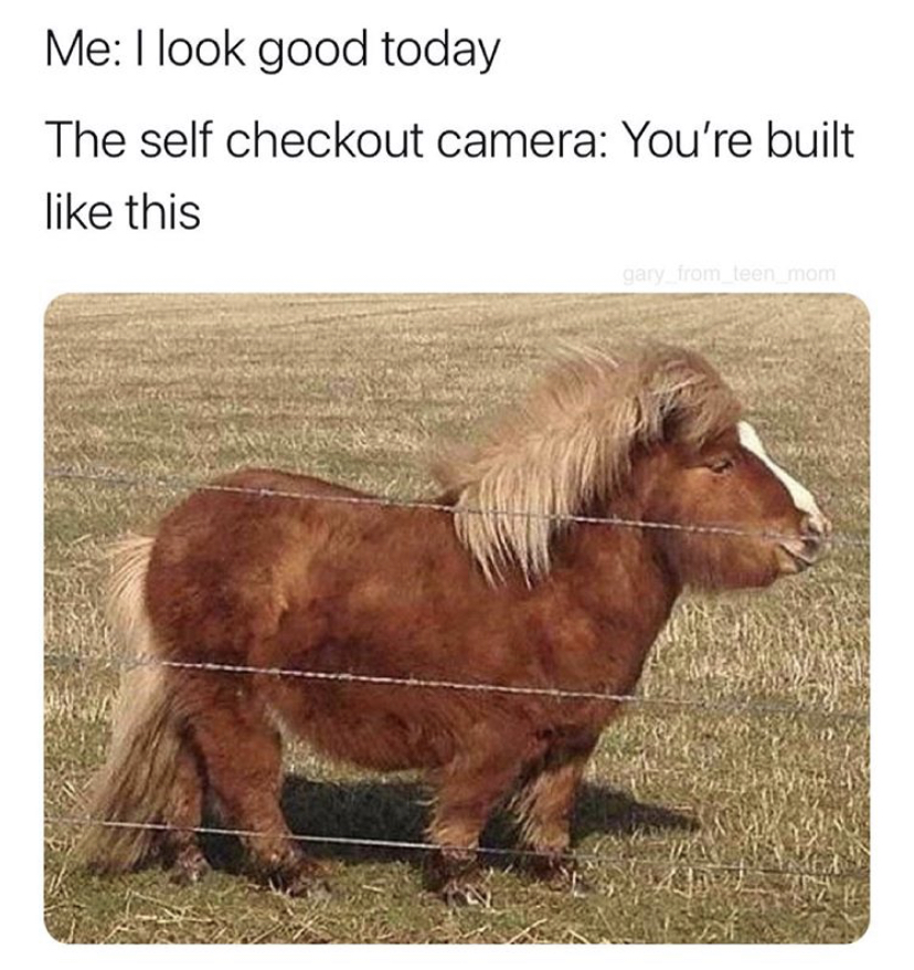 horse meme - Me I look good today The self checkout camera You're built this