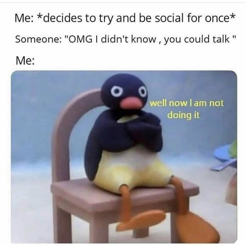 daffy duck memes - Me decides to try and be social for once Someone "Omg I didn't know, you could talk" Me 0 well now I am not doing it