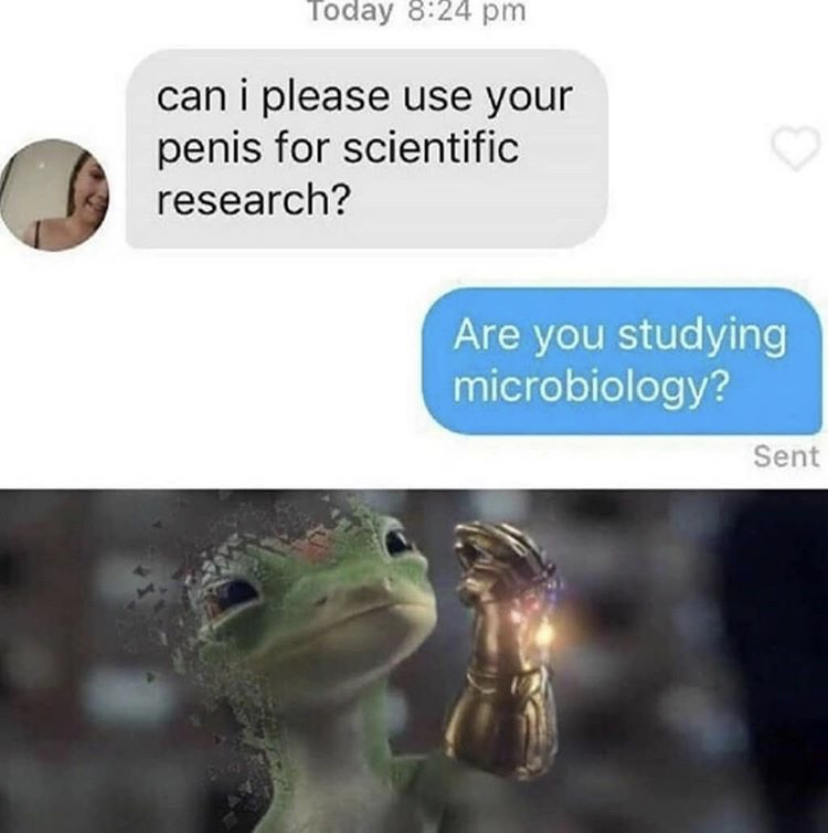 self destruction 100 memes - Today can i please use your penis for scientific research? Are you studying microbiology? Sent