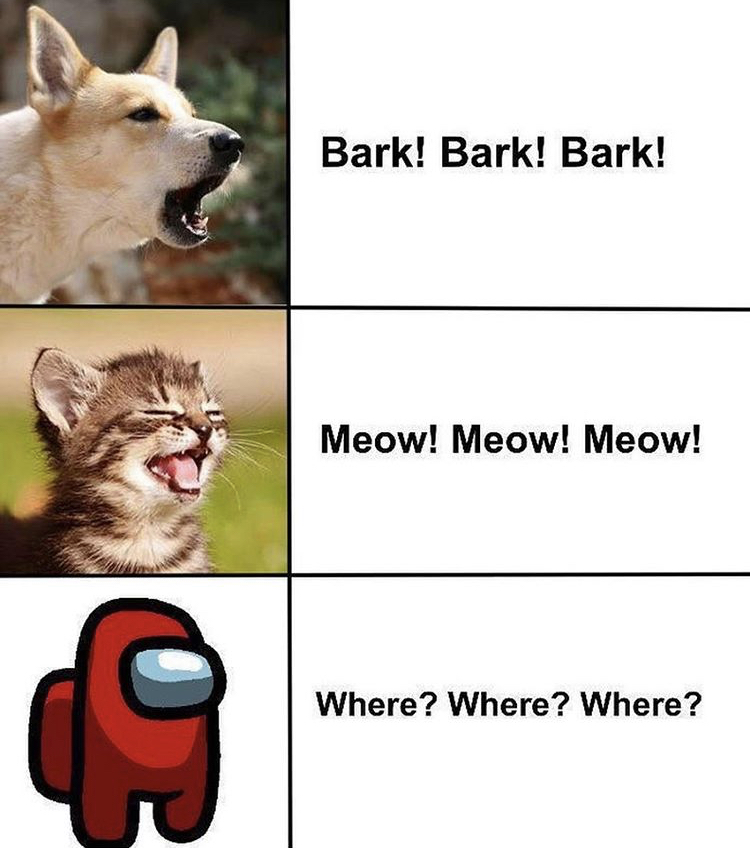 Bark Bark Bark - Bark! Bark! Bark! Meow! Meow! Meow! Where? Where? Where?