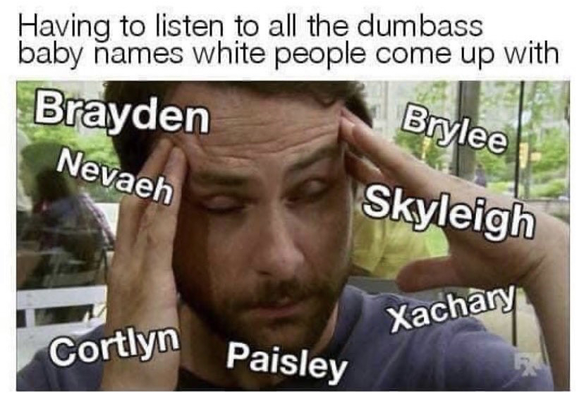 white baby names meme - Having to listen to all the dumbass baby names white people come up with Brayden Brylee Nevaeh Skyleigh Xachary Cortlyn Paisley