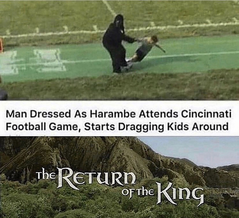return of the king meme - Man Dressed As Harambe Attends Cincinnati Football Game, Starts Dragging Kids Around The Return The King Of The