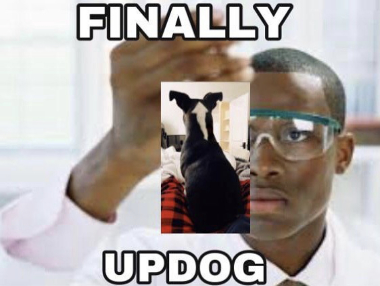 finally meme - Finally Updog