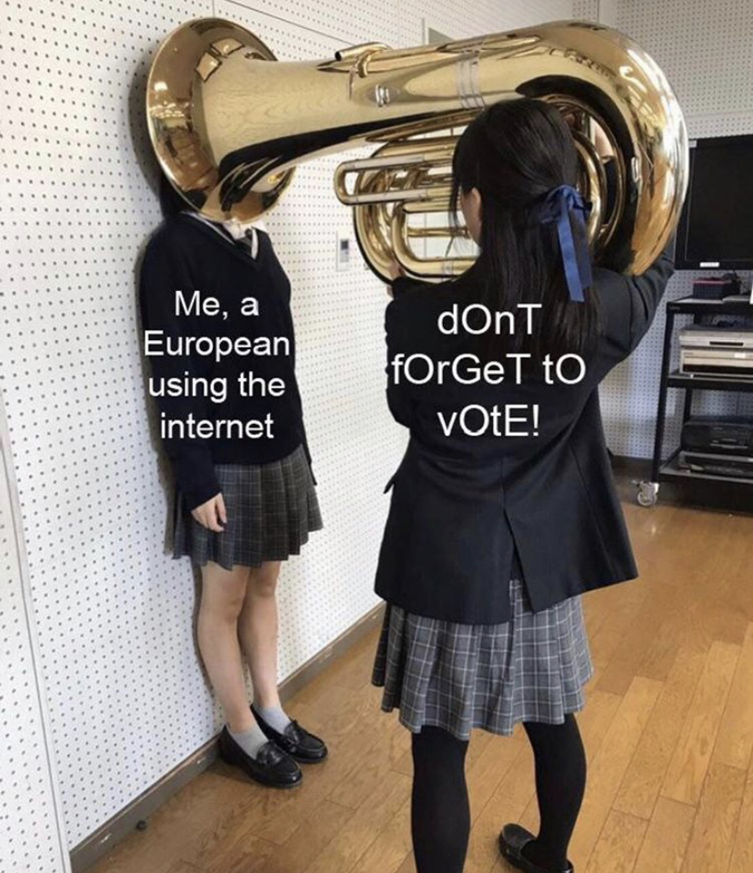 Me, a European using the internet dOnT fOrGeT to Vote!