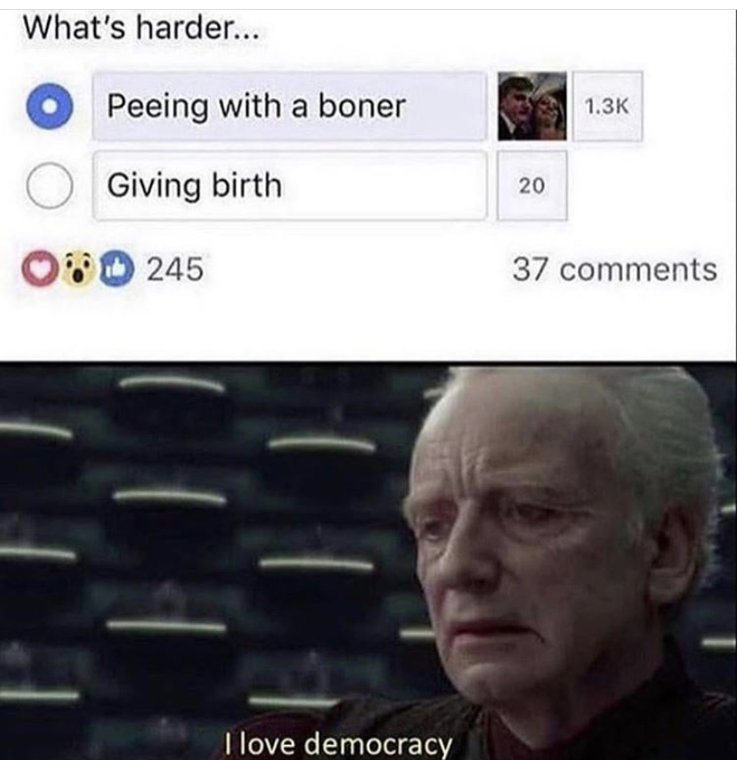 love democracy meme - What's harder... Peeing with a boner Giving birth 20 245 37 I love democracy