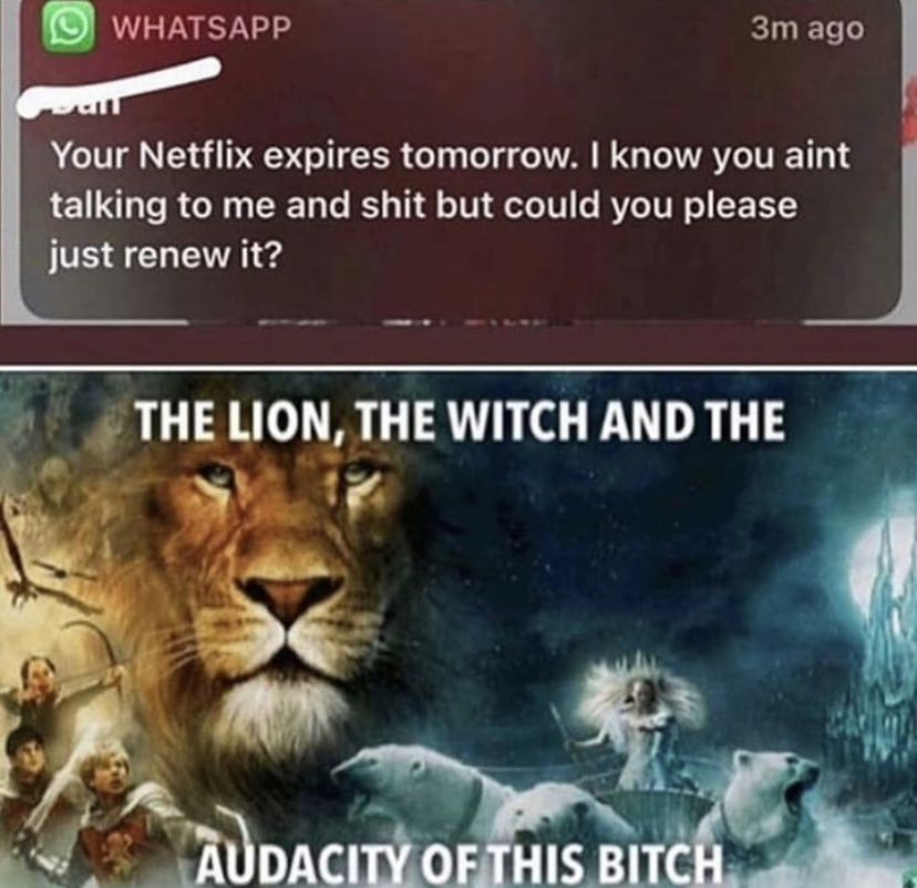 lion the witch and the audacity - Whatsapp 3m ago Your Netflix expires tomorrow. I know you aint talking to me and shit but could you please just renew it? The Lion, The Witch And The Audacity Of This Bitch