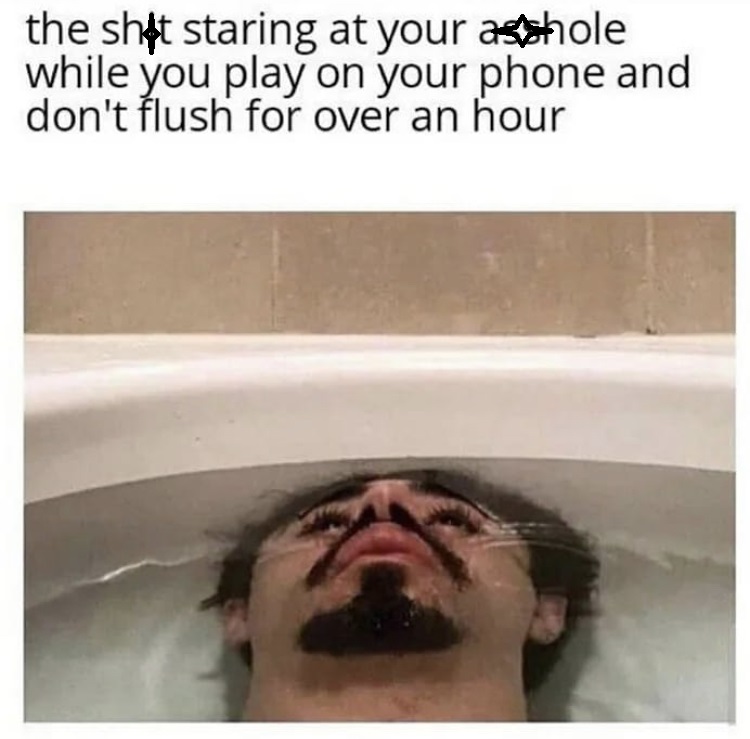 your shit staring at you - the shit staring at your asshole while you play on your phone and don't flush for over an hour