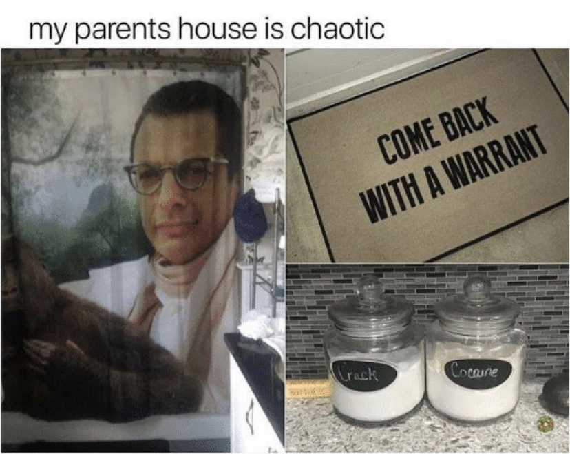 jeff goldblum shower curtain meme - my parents house is chaotic Come Back With A Warrant Crack Cocame