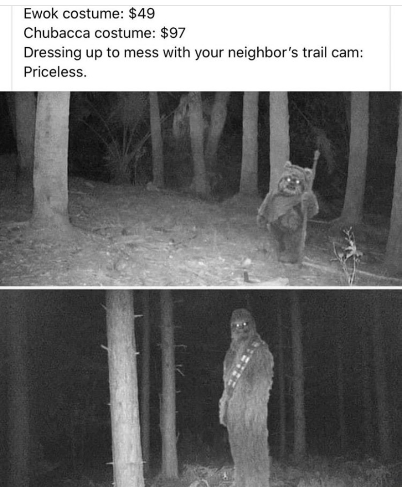 photograph - Ewok costume $49 Chubacca costume $97 Dressing up to mess with your neighbor's trail cam Priceless.