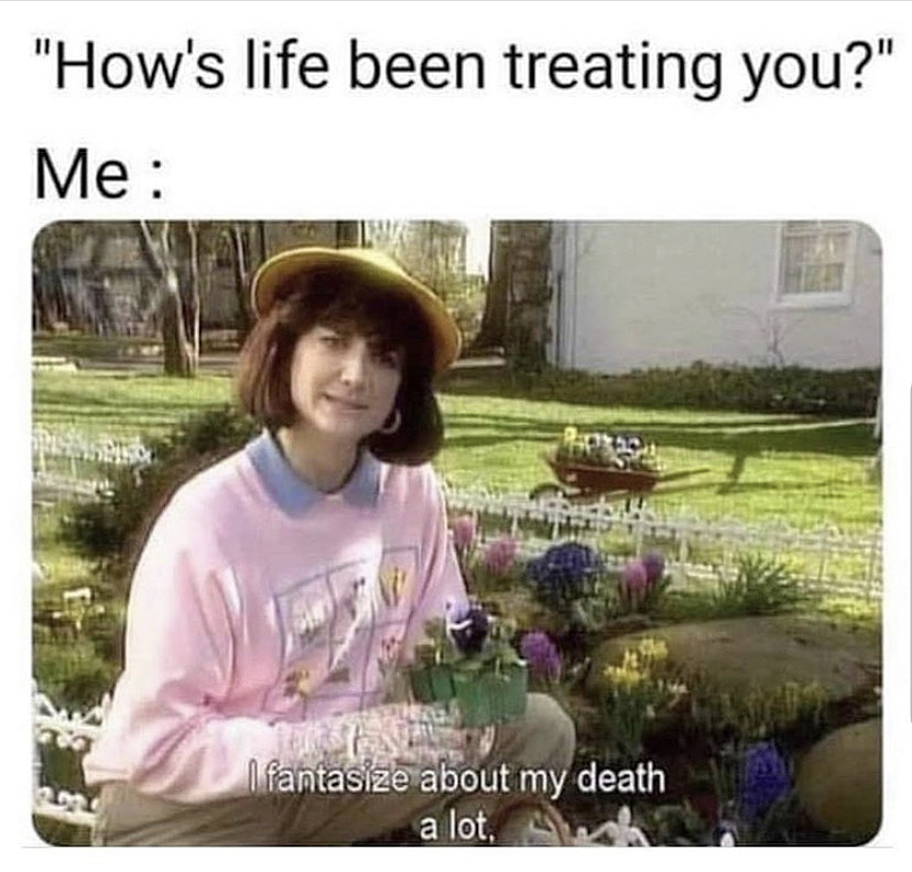 fantasize about my death a lot - "How's life been treating you?" Me I fantasize about my death a lot.