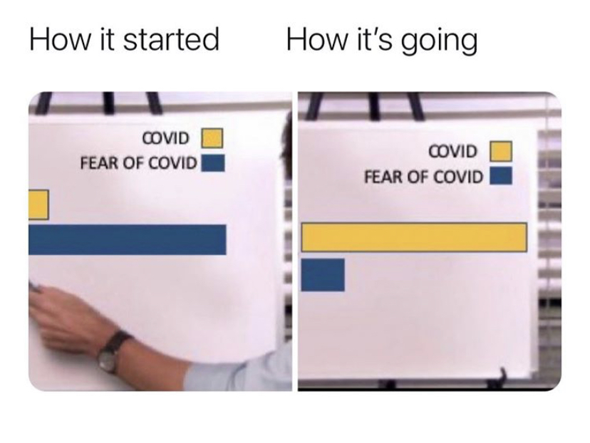 material - How it started How it's going Covid Fear Of Covid Oovid Fear Of Covid