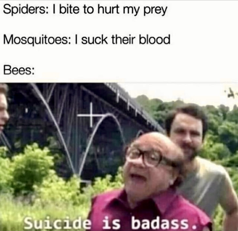 suicide is badass meme - Spiders I bite to hurt my prey Mosquitoes I suck their blood Bees Suicide is badass.