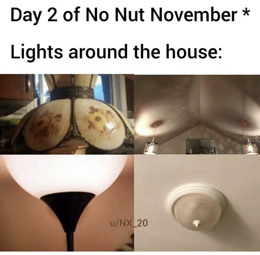 Day 2 of No Nut November Lights around the house uNX_20