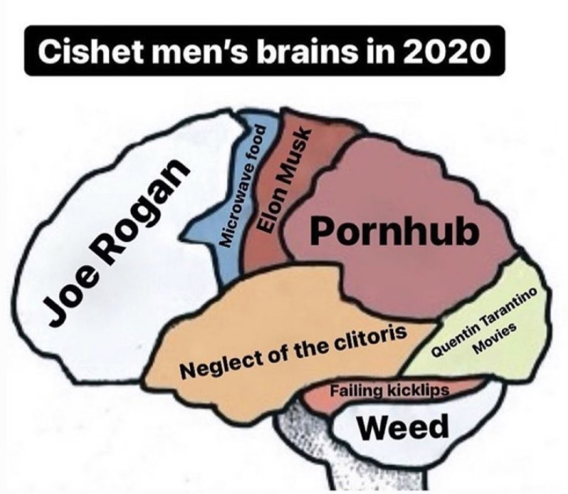 diagram - Cishet men's brains in 2020 Microwave food Elon Musk Pornhub Joe Rogan Neglect of the clitoris Quentin Tarantino Movies Failing kicklips Weed