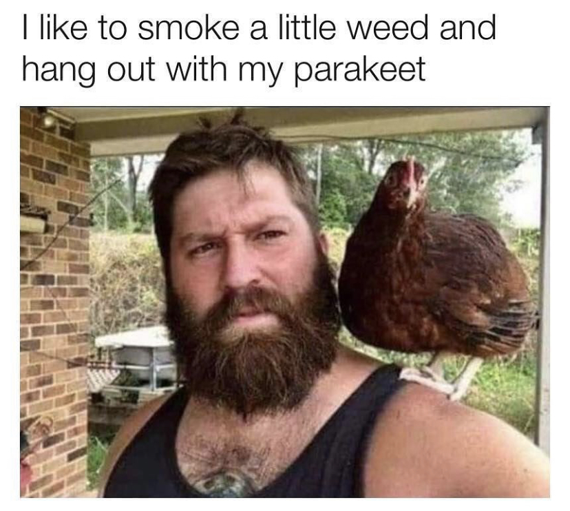 like drinking and hanging out with my parrot - I to smoke a little weed and hang out with my parakeet