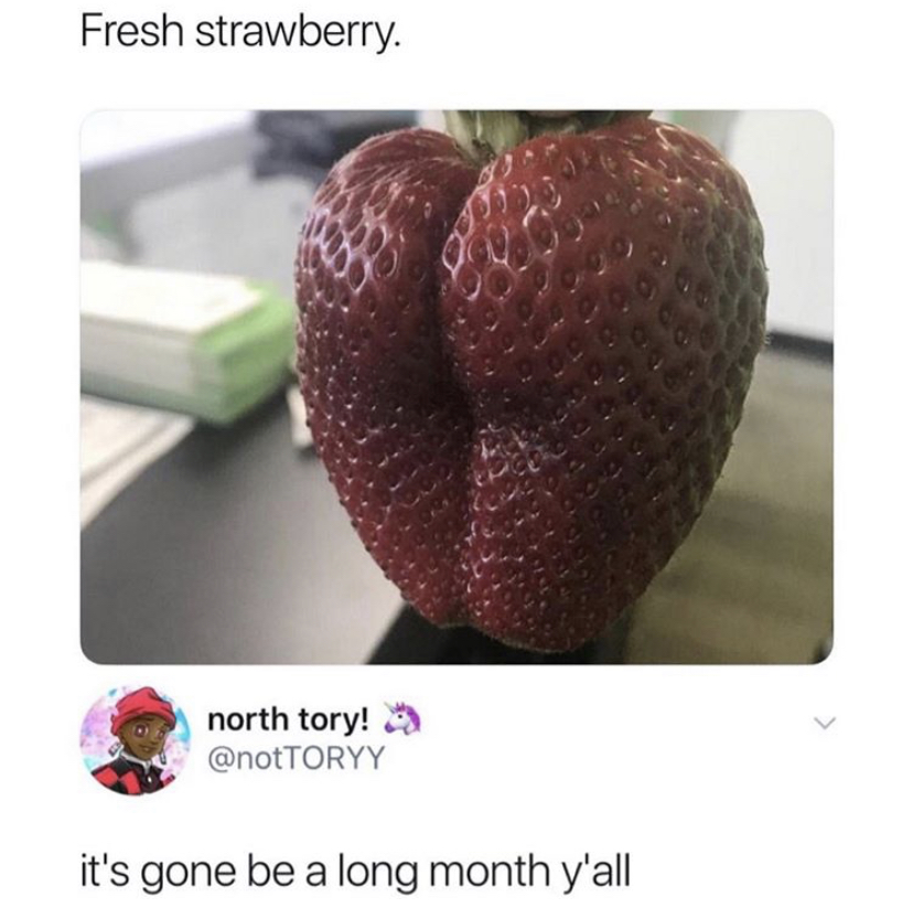 sexy strawberry - Fresh strawberry. north tory! it's gone be a long month y'all