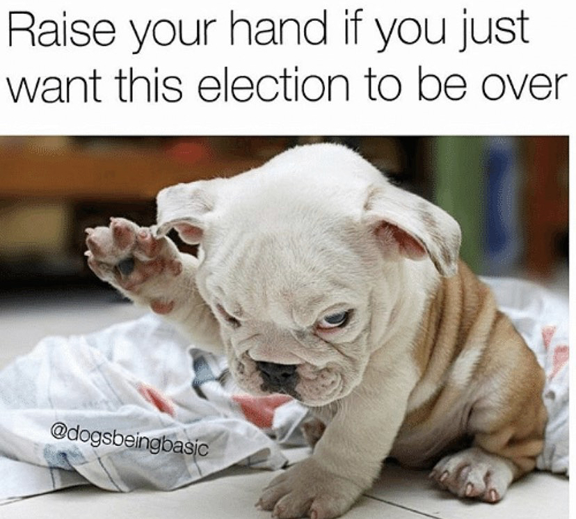 mad puppy - Raise your hand if you just want this election to be over