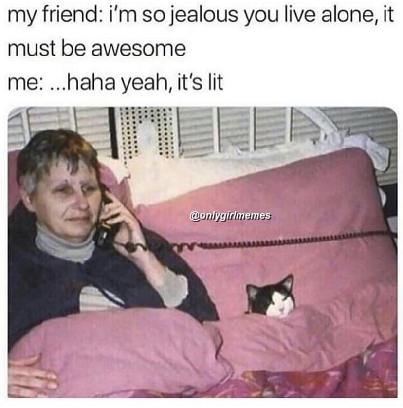 you live alone memes - my friend i'm so jealous you live alone, it must be awesome me ...haha yeah, it's lit