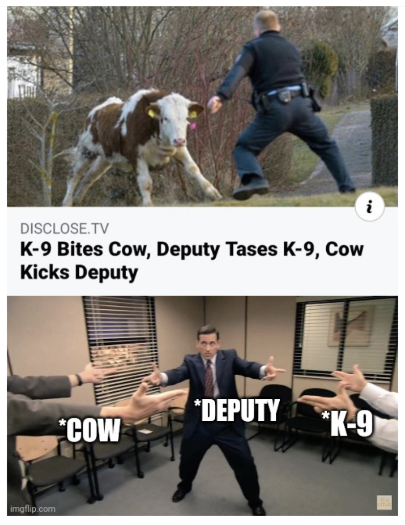 trump biden moderator meme - Disclose.Tv K9 Bites Cow, Deputy Tases K9, Cow Kicks Deputy Deputy Cow K9 iglap.com