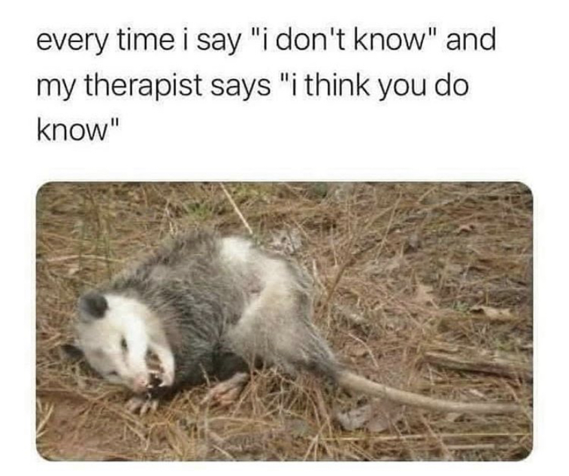 your therapist says i think you do know - every time i say "i don't know" and my therapist says "i think you do know"