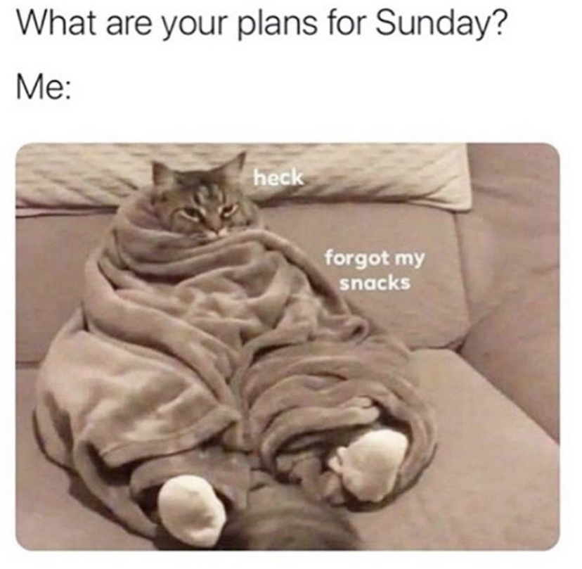 heck forgot my snacks cat meme - What are your plans for Sunday? Me heck forgot my snacks