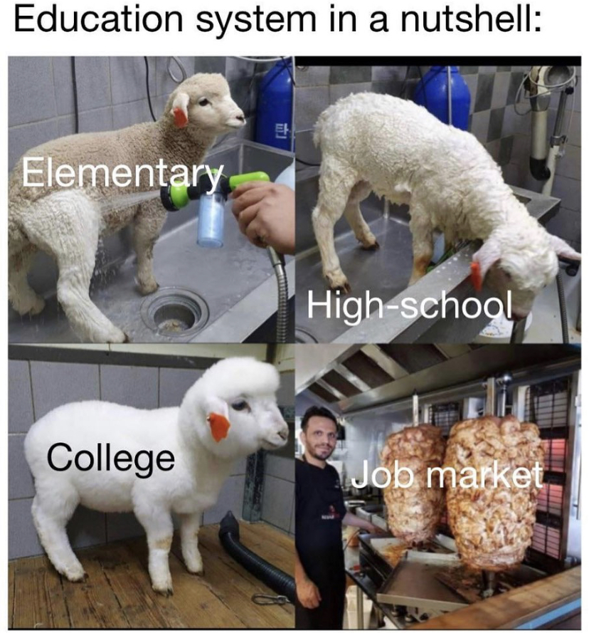 lamb transformation - Education system in a nutshell Elementary Highschool College Job market