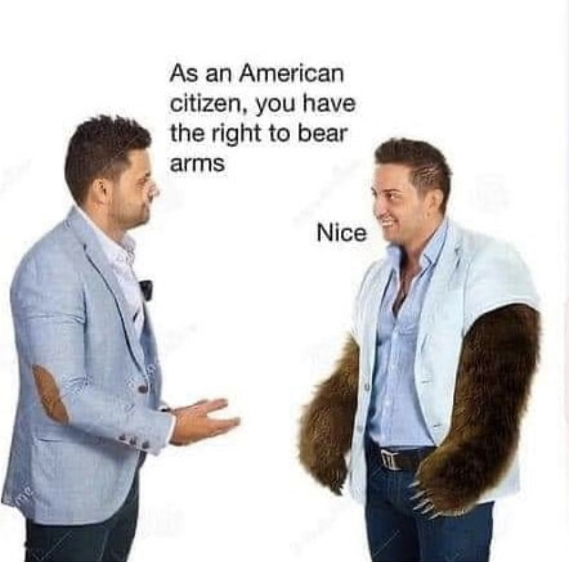 american citizen you have the right to bear arms meme - As an American citizen, you have the right to bear arms Nice kle