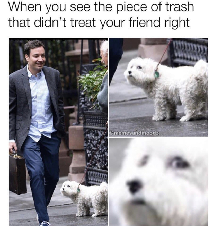 dog - When you see the piece of trash that didn't treat your friend right memesandmoodz