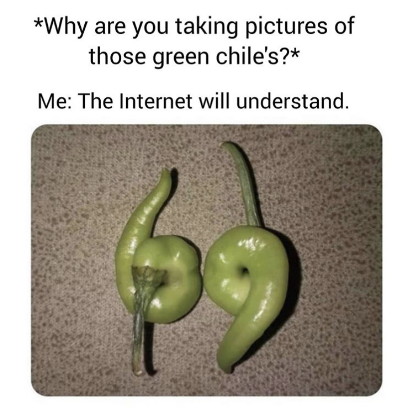 Meme - Why are you taking pictures of those green chile's? Me The Internet will understand.