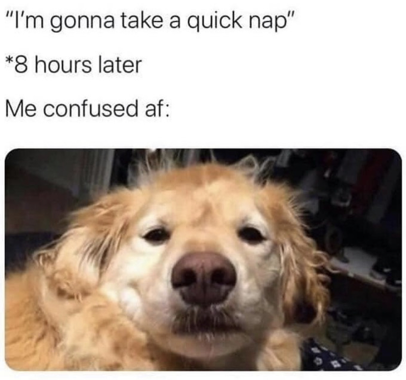 8 hour nap meme - "I'm gonna take a quick nap" 8 hours later Me confused af