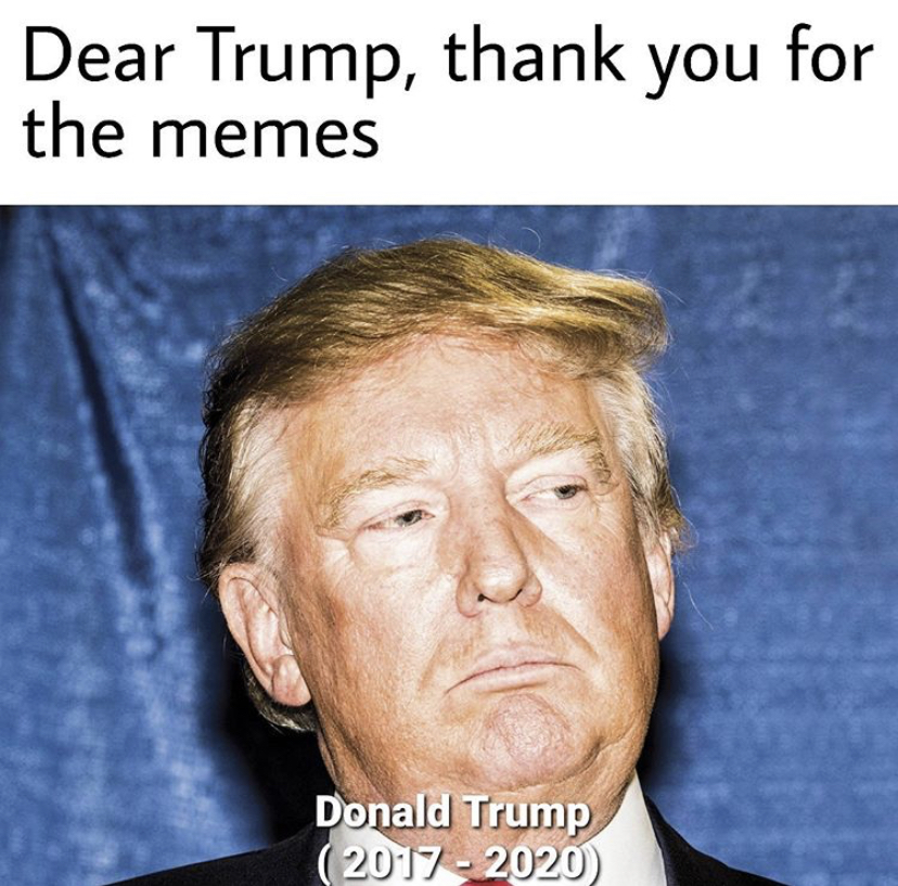 trump narcissist - Dear Trump, thank you for the memes Donald Trump 2017 2020