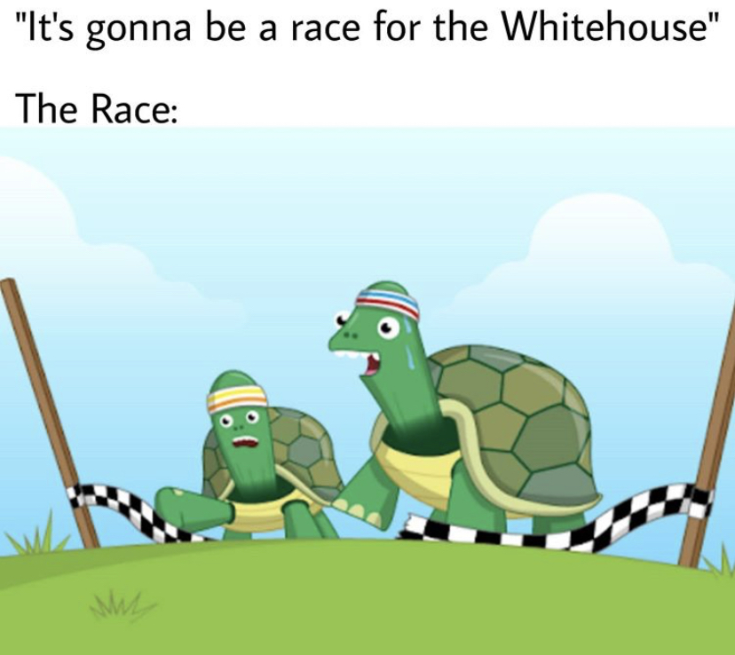 tortoise - "It's gonna be a race for the Whitehouse" The Race