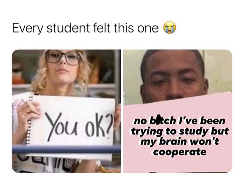 media - Every student felt this one You Ok? no bitch I've been trying to study but my brain won't cooperate