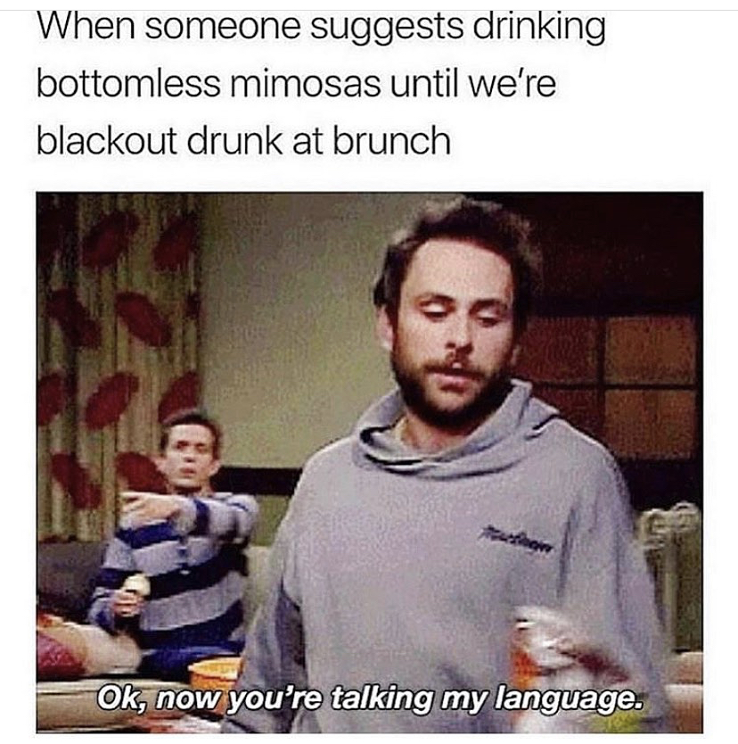 bottomless mimosas meme - When someone suggests drinking bottomless mimosas until we're blackout drunk at brunch Ok, now you're talking my language.