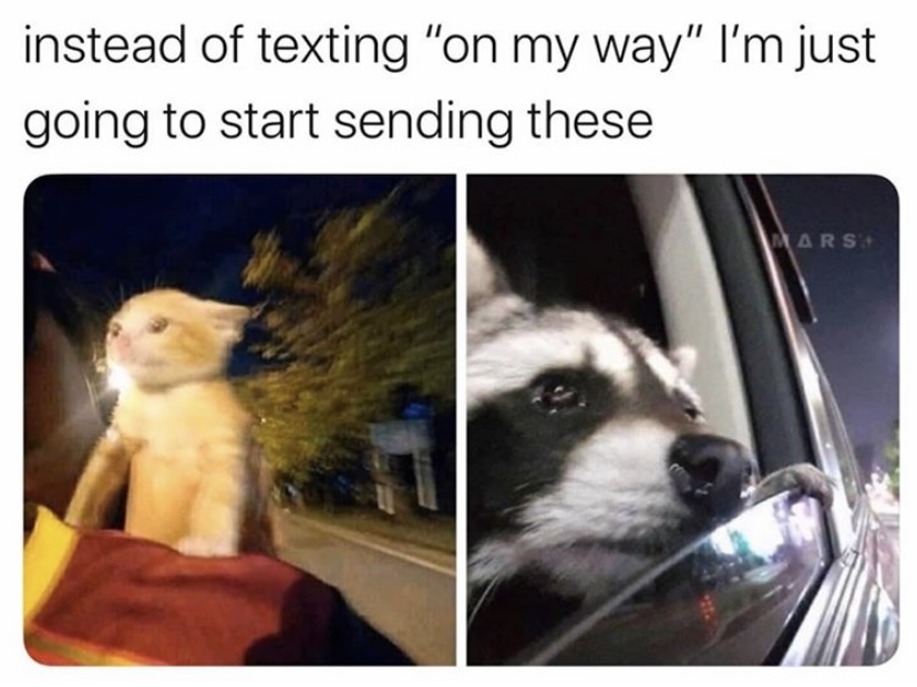 me drunk af in the back - instead of texting "on my way" I'm just going to start sending these Mars