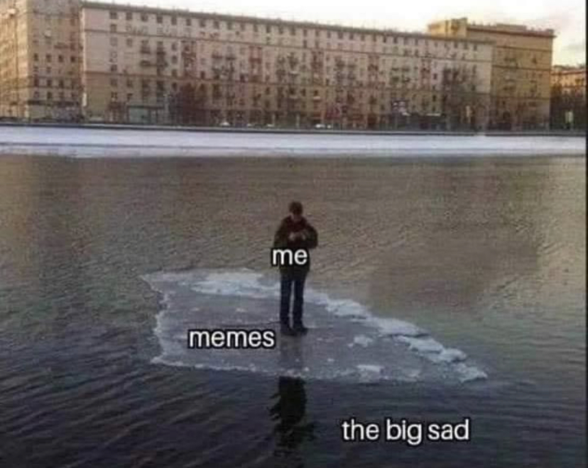 well shit meme - me memes the big sad