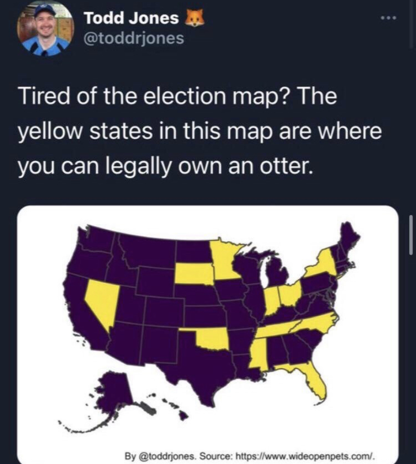 graphic design - Todd Jones Tired of the election map? The yellow states in this map are where you can legally own an otter. By . Source .