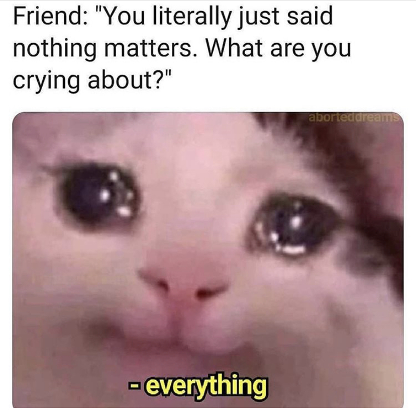 crying cat - Friend "You literally just said nothing matters. What are you crying about?" aborted dreams everything