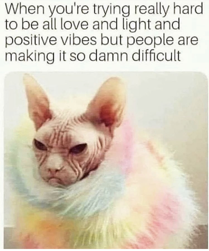 photo caption - When you're trying really hard to be all love and light and positive vibes but people are making it so damn difficult