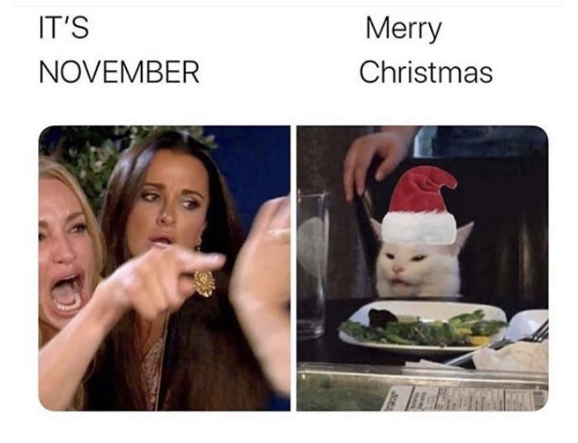 woman yelling at cat meme christmas - It'S Merry Christmas November