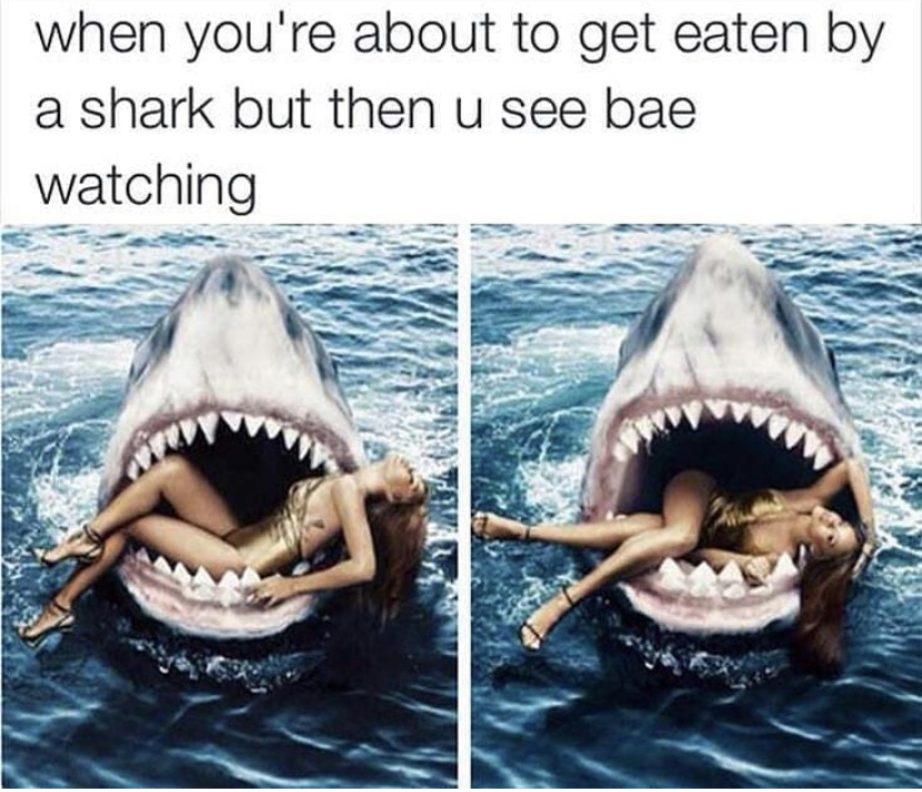 mouth of a shark - when you're about to get eaten by a shark but then u see bae watching