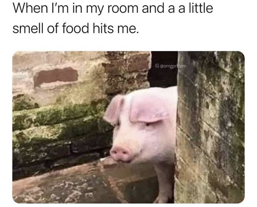 me after quarantine is over - When I'm in my room and a a little smell of food hits me. Ig
