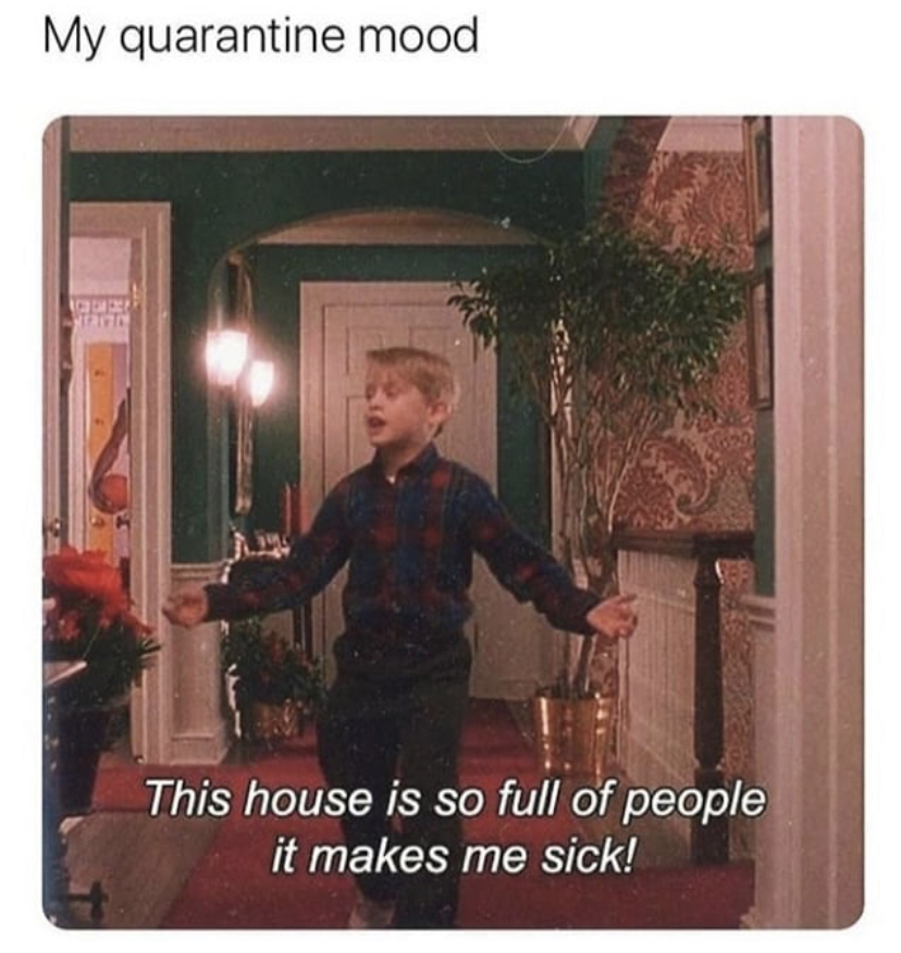 home alone 1 quotes - My quarantine mood Are This house is so full of people it makes me sick!