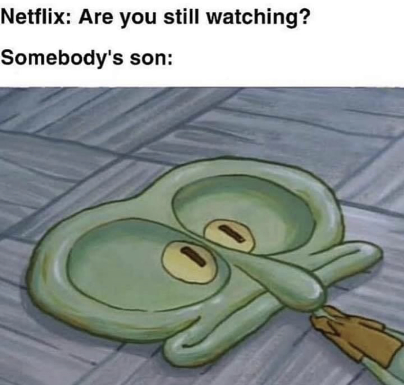 netflix are you still watching meme - Netflix Are you still watching? Somebody's son