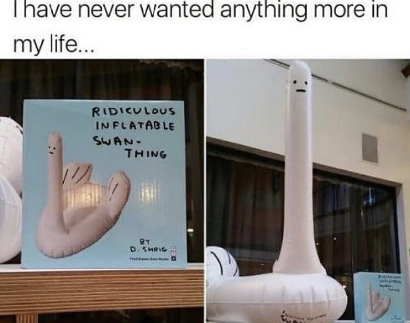 ridiculous inflatable swan thing meme - I have never wanted anything more in my life... Ridiculous In Flatable Swan Thing By D. Shri
