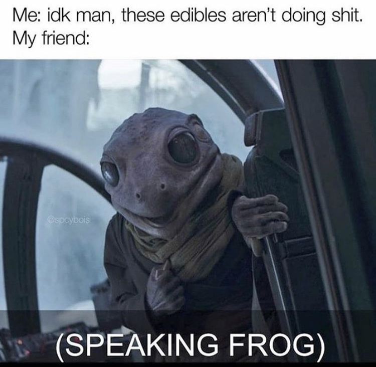 photo caption - Me idk man, these edibles aren't doing shit. My friend D Speaking Frog