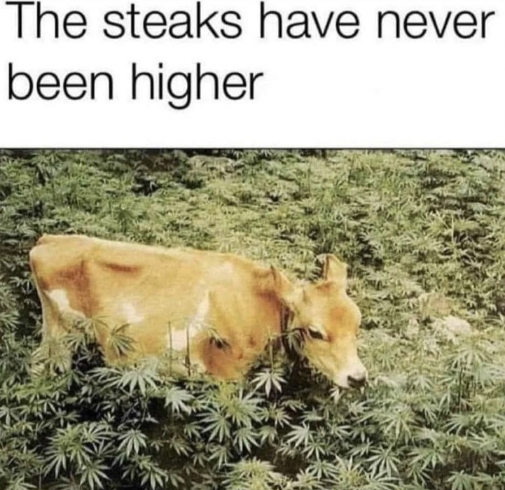steaks have never been so high - The steaks have never been higher