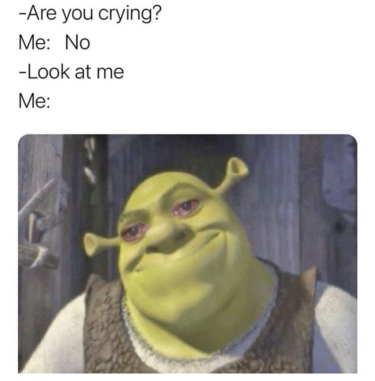 shrek high - Are you crying? Me No Look at me Me