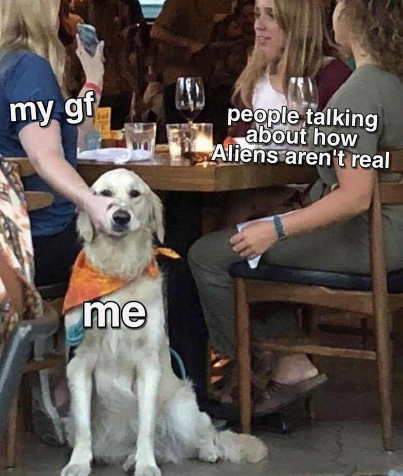woman holding dogs mouth - my gf people talking about how Aliens aren't real me