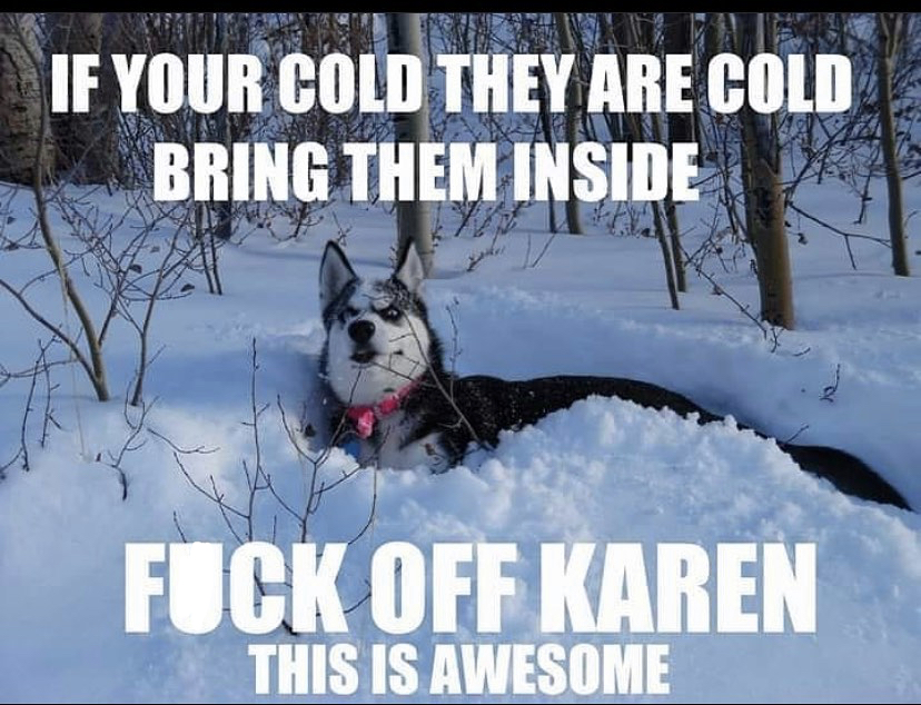 robert f. kennedy memorial stadium - If Your Cold They Are Cold Bring Them Inside Fuck Off Karen This Is Awesome